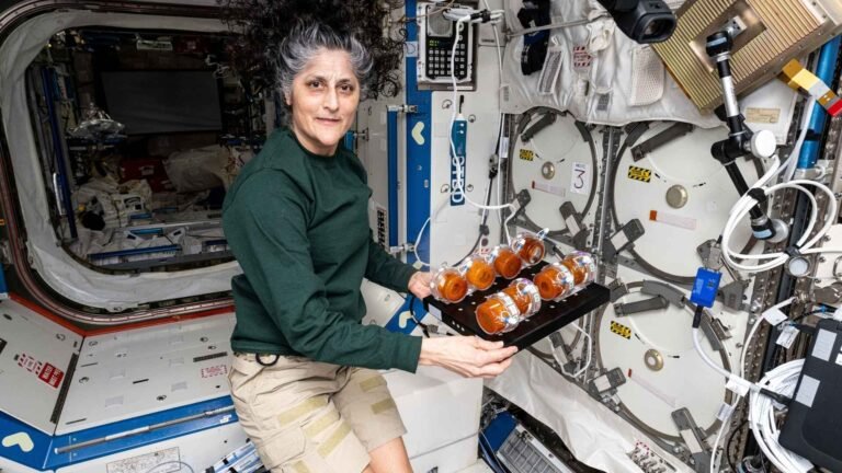 Sunita Williams Life Story: NASA Astronaut, Missions & Records